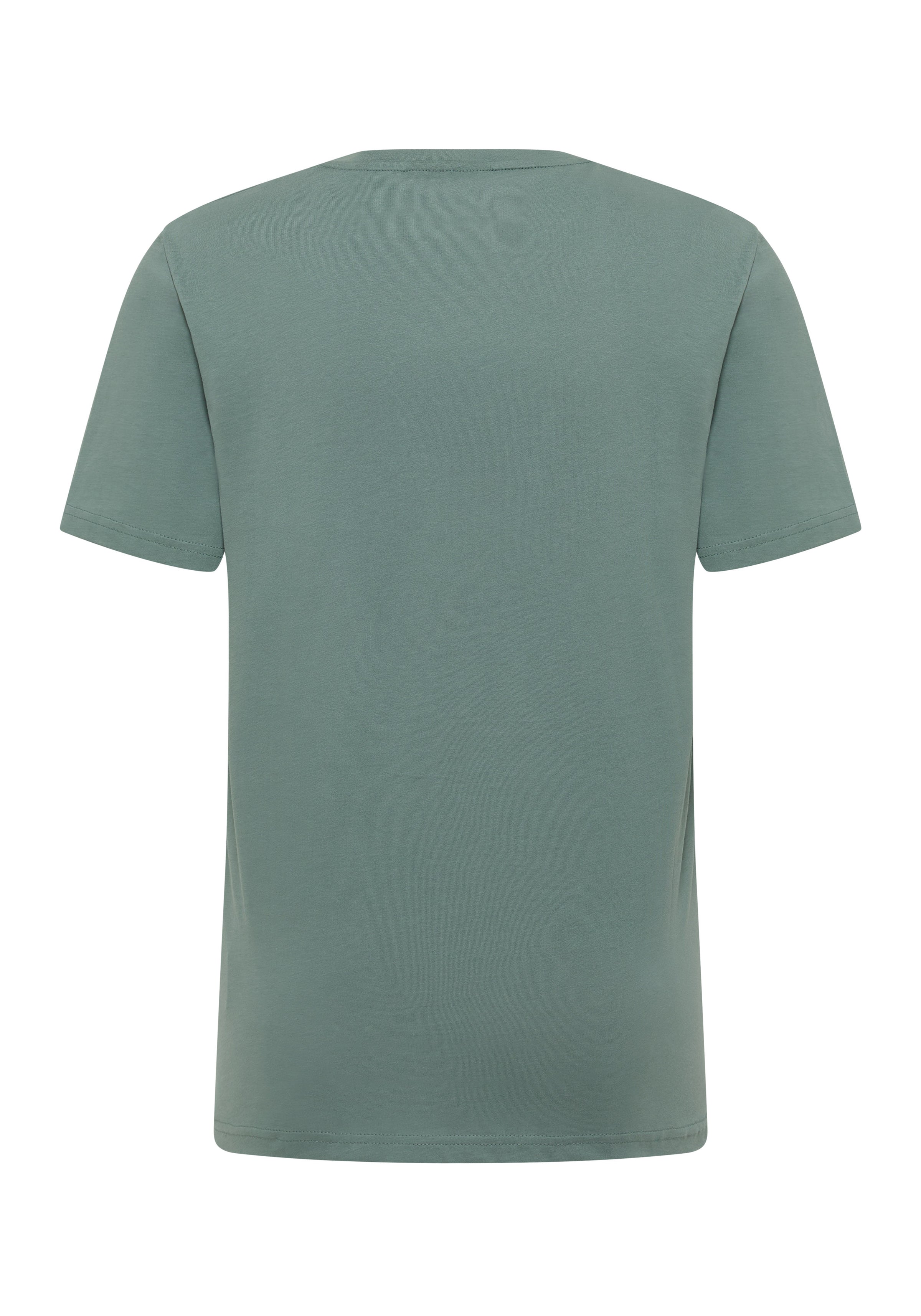 Elbsand Men T-Shirt Kolja limestone