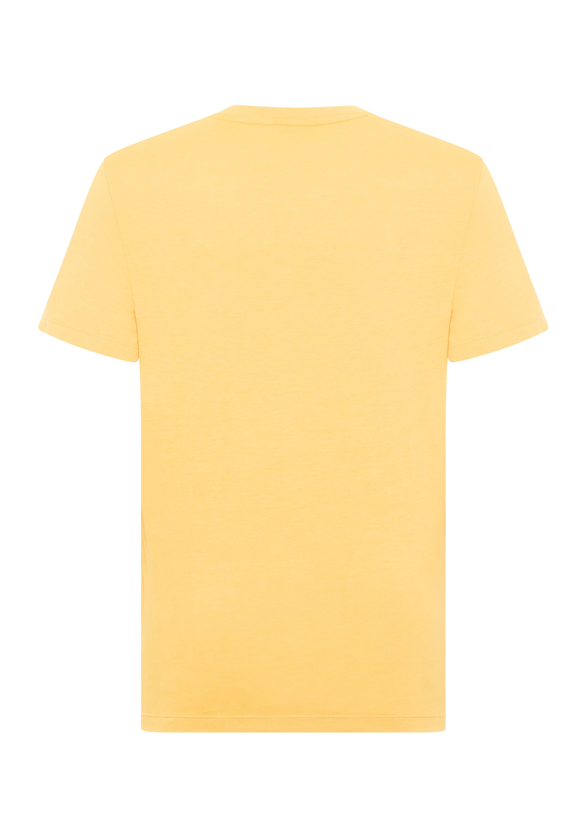 Elbsand Men T-Shirt Ingvar mineral yellow melange