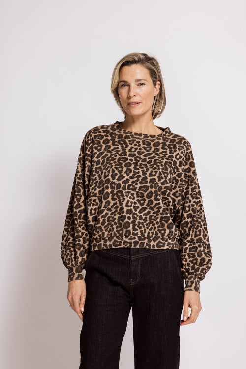 Zhrill Sweatshirt Tera sand/beige/taupe, Leominster, Bündchen, langärmlig, Rundhalsausschnitt